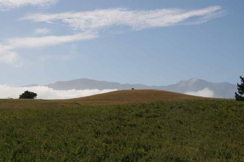 Nieuw-Zeeland 2011 - 1163